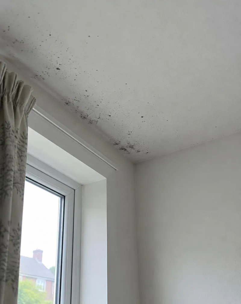 Black mould spotting in the corner of a bedroom